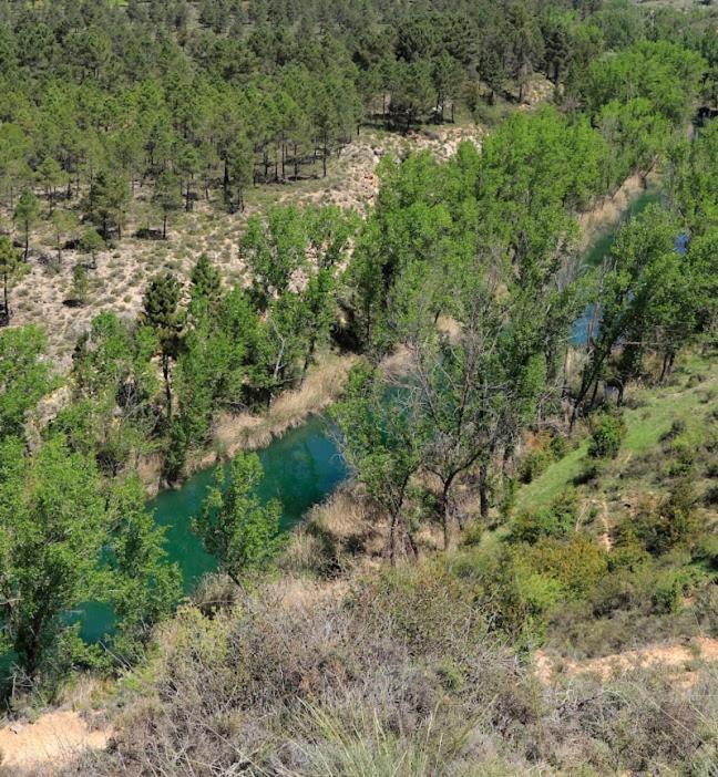 Casa Rural Guadiela San Pedro Palmiches Eksteriør billede